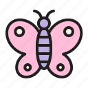butterfly, bug, insect, animal