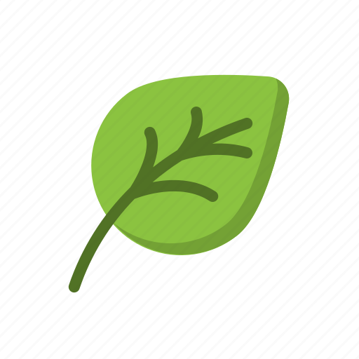 Leaf, nature, green, environment icon - Download on Iconfinder