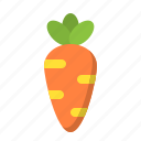 carrot, vegetable, food, healthy