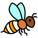 honey, bee, fly, garden, insect