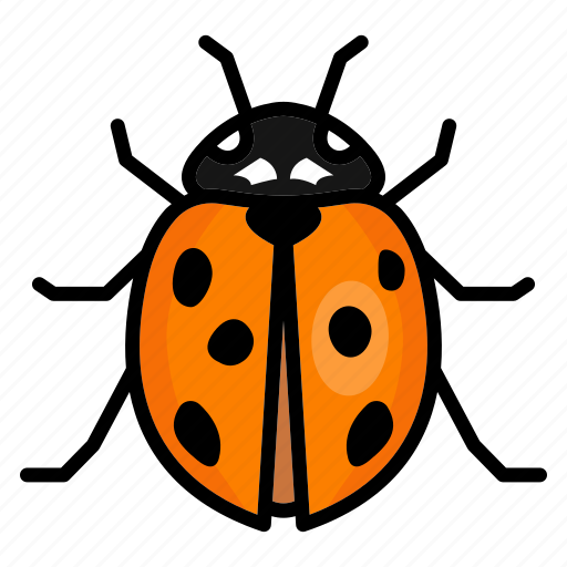Ladybug, spring, insect, bug icon - Download on Iconfinder