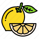 lemon, food, fruit, fruits, healthy