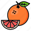 orange, spring, fruit, citrus, grapefruit 