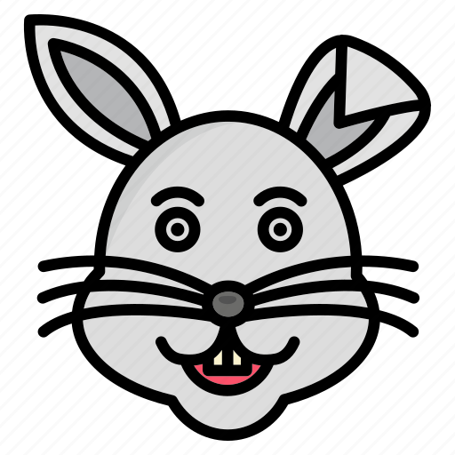 Rabbit, animal, pet, bunny, hare icon - Download on Iconfinder