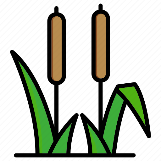 Reed, bullrush, cattail, plant, sedge icon - Download on Iconfinder