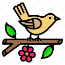 sparrow, bird, branch, wings, wildlife, spring