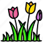 tulip, flower, garden, nature, tulips 