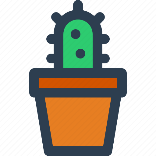 Cactus, plant, flora, nature, spring icon - Download on Iconfinder