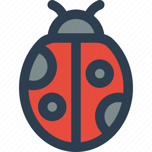 Ladybug, bug, insect, fauna, nature, spring icon - Download on Iconfinder