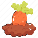 carrot, fresh, raw, vegetable, sweet, healthy