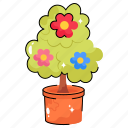 plant, forest, flower, leaf, pot