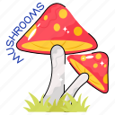 mushrooms, food, vegetable