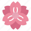 blossom, nature, garden, daisy, spring, bloom, flower, plant, flowers 