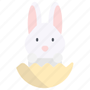 bunny, rabbit, animal, easter, pet, spring