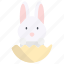 bunny, rabbit, animal, easter, pet, spring 