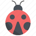 ladybug, insect, bug, animal, nature, fly