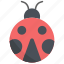 ladybug, insect, bug, animal, nature, fly 
