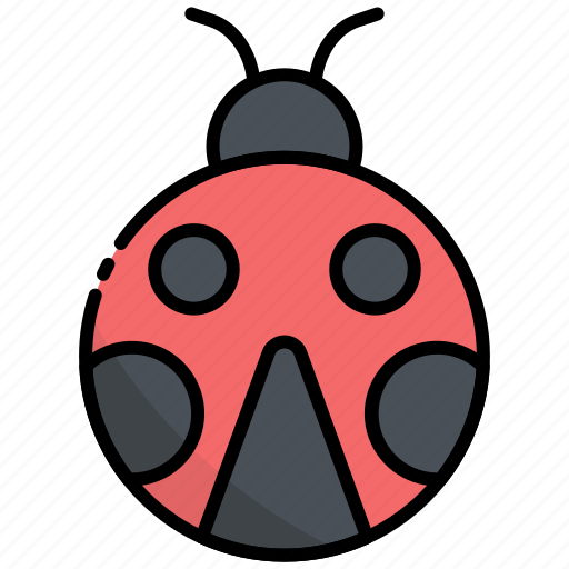 Ladybug, insect, bug, animal, nature, fly icon - Download on Iconfinder