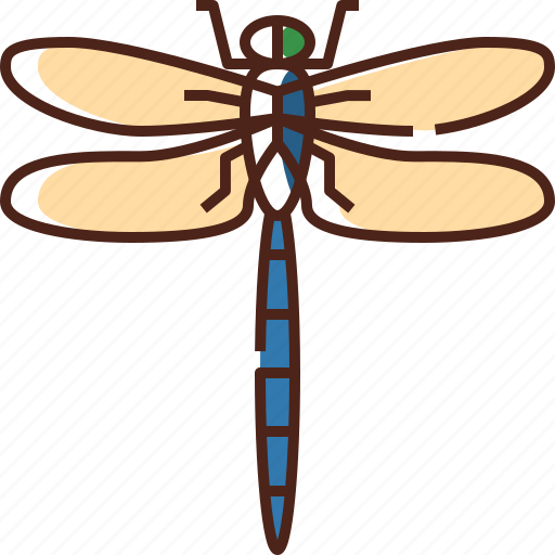 Dragonfly, insect, fly, nature, bug, spring, natural icon - Download on Iconfinder