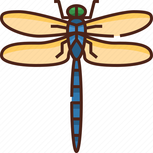 Dragonfly, insect, fly, nature, bug, spring, natural icon - Download on Iconfinder