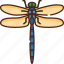 dragonfly, insect, fly, nature, bug, spring, natural 