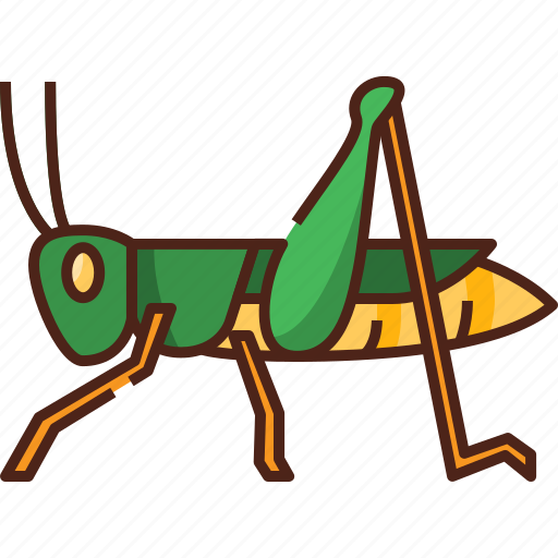 Grasshopper, insect, bug, animal, nature, tropical insect, wildlife icon - Download on Iconfinder
