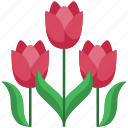 tulips, flower, flowers, green, floral, nature, spring