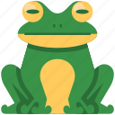 frog, animal, amphibian, toad, wildlife, nature, spring