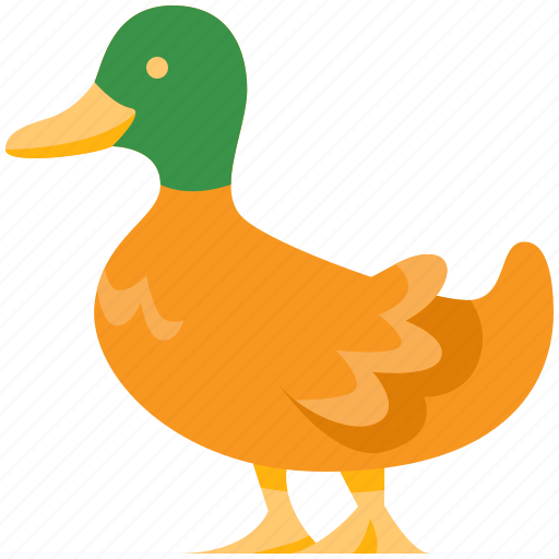 Duck, animal, bird, spring, wildlife, nature, ecology icon - Download on Iconfinder