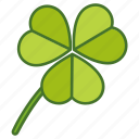 clover, green, ireland, irish, plant, shamrock, trefoil