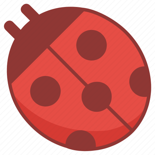 Beetle, bug, insect, lady, ladybug icon - Download on Iconfinder