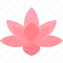 lotus, china, chinese, floral, flower