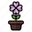spring, season, nature, flower, pot, vase, 1 
