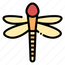 dragon fly, spring, nature, floral, plant, farming, flower, garden