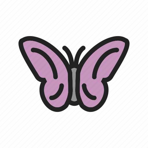 Beauty, butterflies, butterfly, flying, garden, nature, spring icon - Download on Iconfinder
