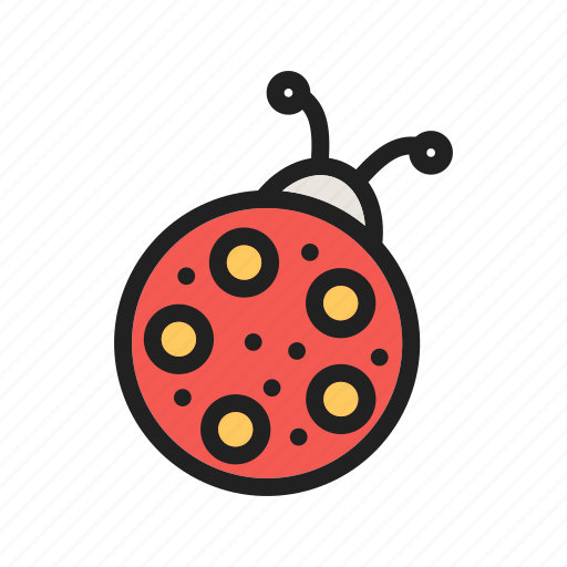 Bird, bug, insect, ladybird, ladybug, nature, spring icon - Download on Iconfinder