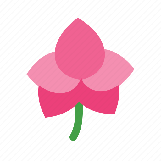 Beautiful, floral, flower, orchid, pink, purple, spring icon - Download on Iconfinder
