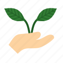 environment, green, growth, hand, holding, life, plant