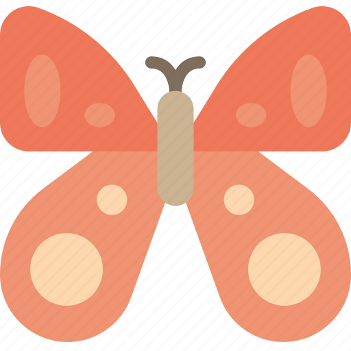 Bug, butterfly, easter, spring icon - Download on Iconfinder
