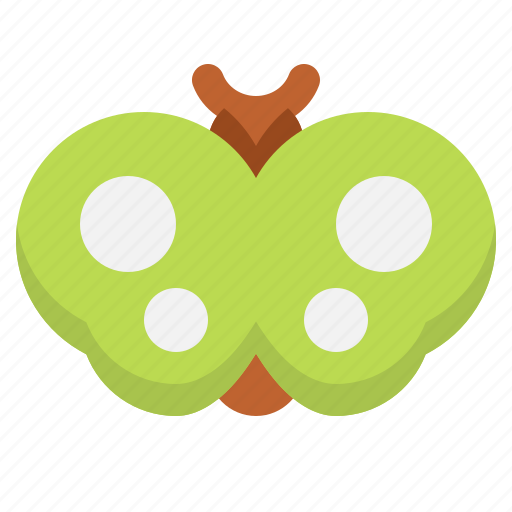 Butterfly, insect, bug, nature icon - Download on Iconfinder