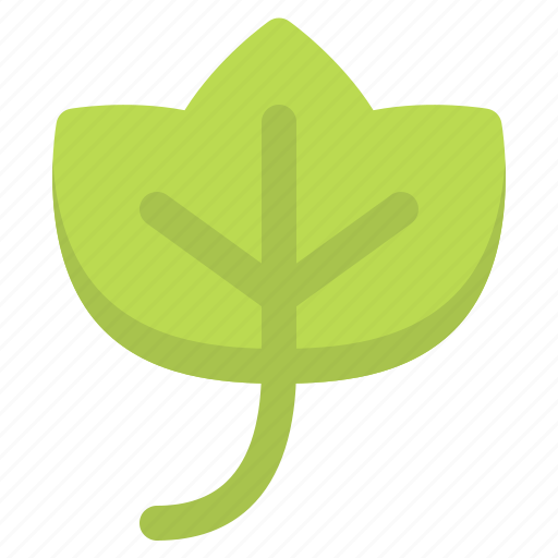Ivy, nature, plant, spring icon - Download on Iconfinder