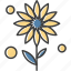 ecology, flower, nature, sunflower 