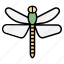 dragonfly, insect, bug, nature, animals, spring, fly 