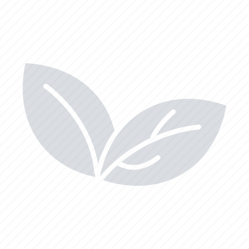 Growth, leaf, plant, spring icon - Download on Iconfinder