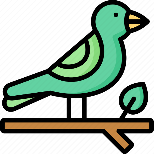 Spring, bird, animal, pet, branch icon - Download on Iconfinder