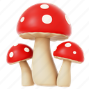 mushroom, nature, spring, fungi 
