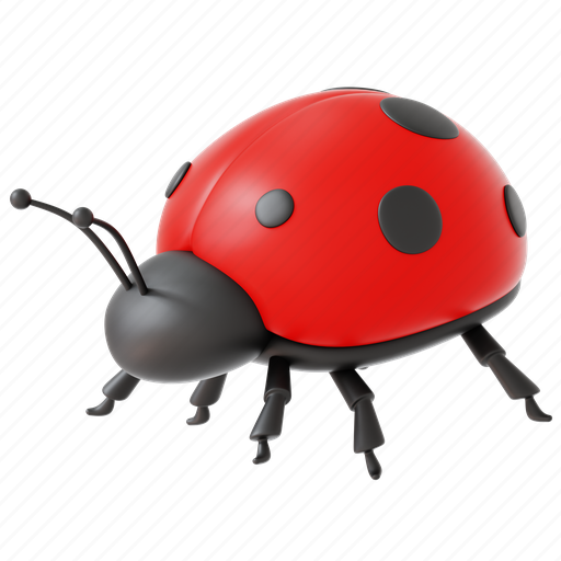Insect, ladybug, beetle, bug, spring 3D illustration - Download on Iconfinder