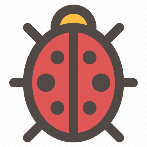 Bug, insect, lady bird, ladybug, spring time, summer icon - Download on Iconfinder