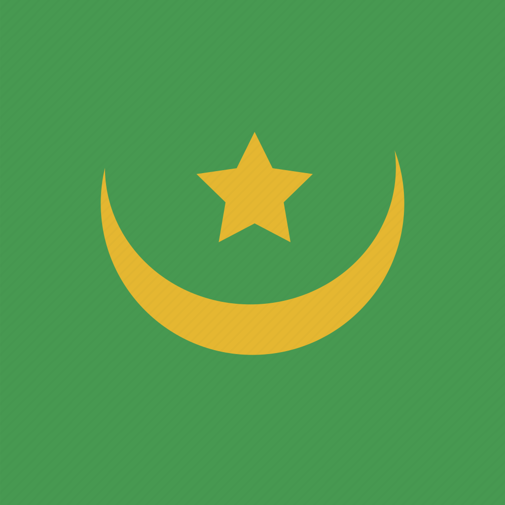 Флаг Мавритании. Исламская Республика Мавритания. Мавритания день армии. Флаг французской Мавритании. Форма флага мавритании