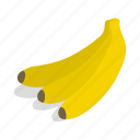 banana, fruit, isometric, lanka, ripe, sri, yellow
